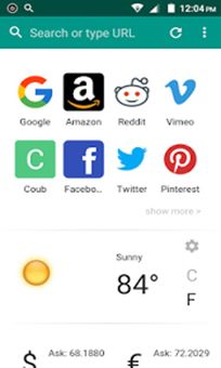 India Browser screenshot 3