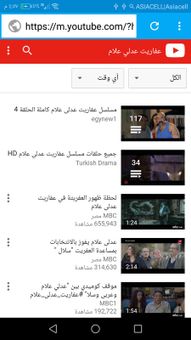 B Browser screenshot 6