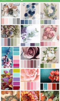 تناسق الألوان screenshot 1