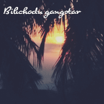 Bilichodu gangster APK