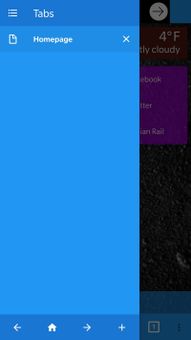 Indian Browser screenshot 3