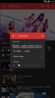 HayTube Youtube Downloader screenshot 3
