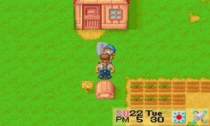 Harvest Moon: Friends of Mineral Town Screenshot