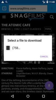 Smart Downloader screenshot 3