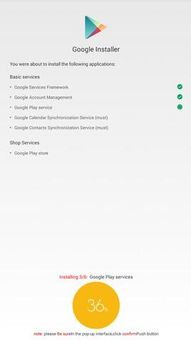 Google Installer screenshot 2