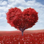 TB WORLD OF LOVE APK