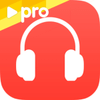 Faster Mp3 Music Downloader Pro icon