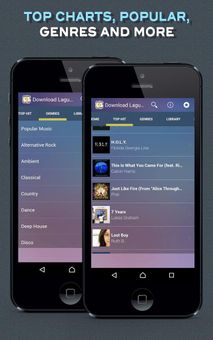 Download Lagu Mp3 screenshot 8