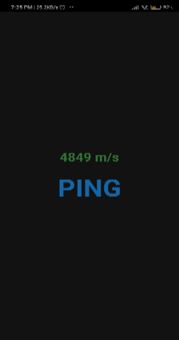 Ping Test screenshot 1