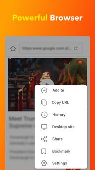 All Video Downloader screenshot 6
