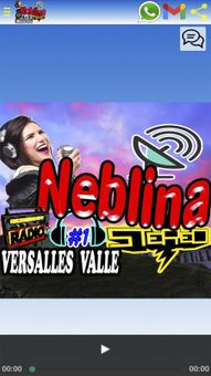 Neblina Stereo screenshot 3