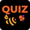 QuizBee icon