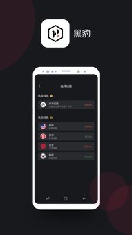 黑豹加速器 screenshot 2