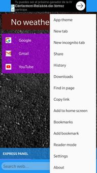 Indian Browser screenshot 2