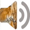 Reclamo zorro icon