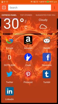 DOTELI BROWSER screenshot 3