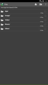 IDM screenshot 4