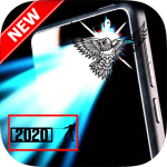 Flash Light APK
