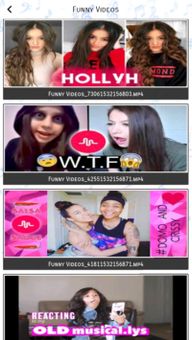 Funny Videos screenshot 7