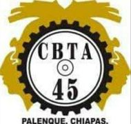CBTA 45 APK