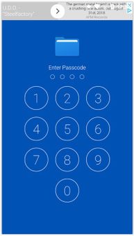 Lock it Russia screenshot 7