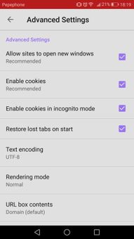 Light Browser screenshot 9