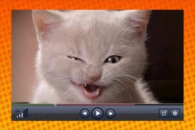→