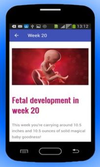 Pregnancy Baby Weekly Tracker screenshot 6