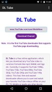 DL Tube Screenshot