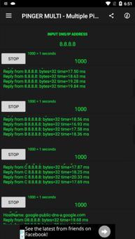 PINGER MULTI - Multiple Ping To The Network screenshot 5