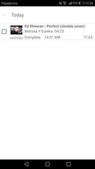 YouTube-DL screenshot 3