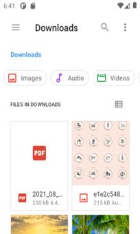 Picture to PDF Converter screenshot 3